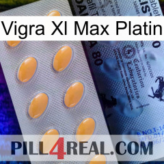 Vigra Xl Max Platinum 44